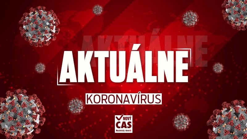 Slovensko bojuje s koronavírusom.