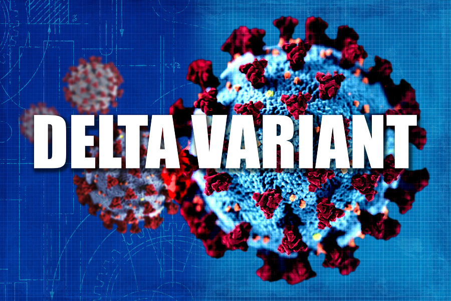 Delta variant nového koronavírusu