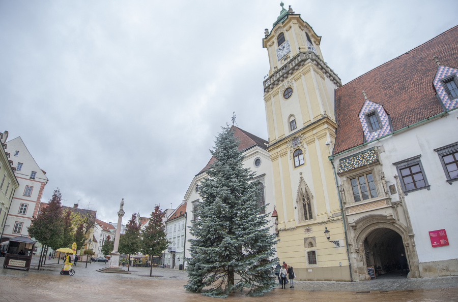 Na Hlavnom námestí v Bratislave osadili vianočný stromček.