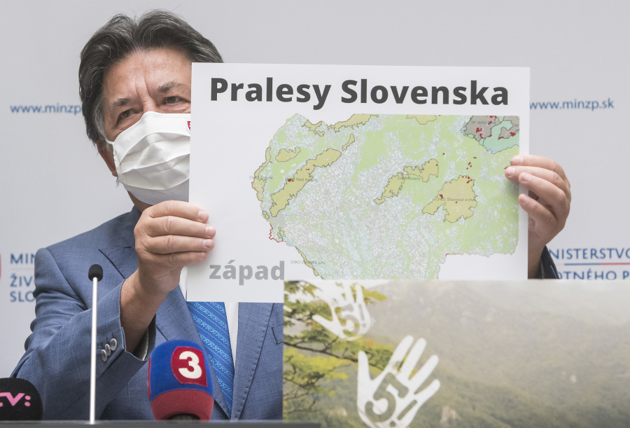 Prírodná rezervácia Pralesy Slovenska