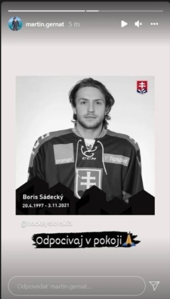 Slovenskí hokejisti vyjadrili rodine