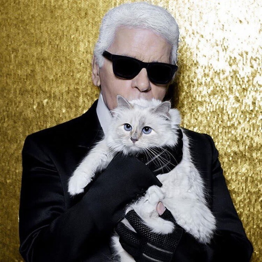 Karl svoju mačku Choupette