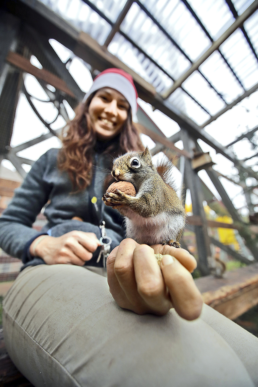 Veveričky kanadské: Čím viac