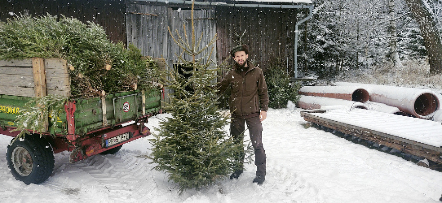 Predaj vianočných stromčekov v Tatrách je už tradícia.