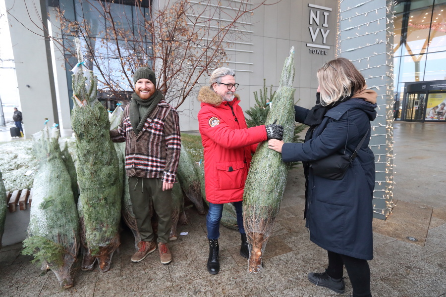 Biznismen Santa a elf rozdávali vianočné stromčeky.