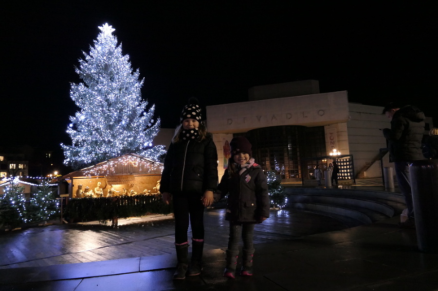 Vianočný stromček v Nitre.