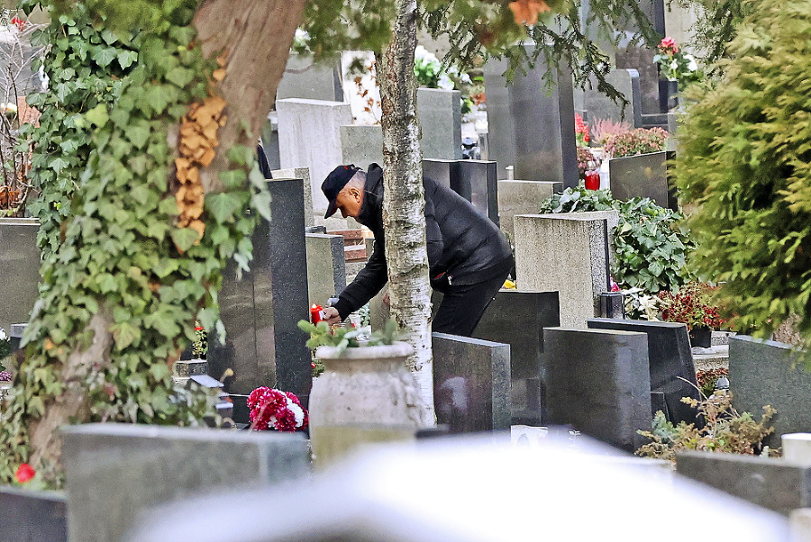 Slávičie údolie, Bratislava, 21.12.2021 o 14:43 hod.
