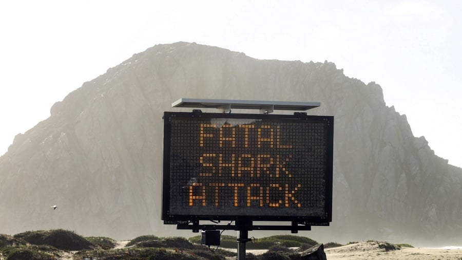 Pri útoku žraloka pri kalifornskom pobreží zahynul surfista.