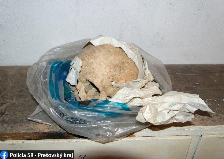 Na polici v pivnici našli ľudskú lebku.