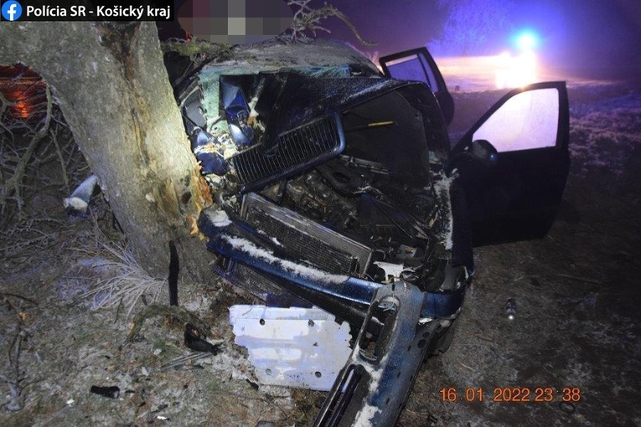 Mladík narazil s autom do stromu, zranilo sa šesť ľudí.