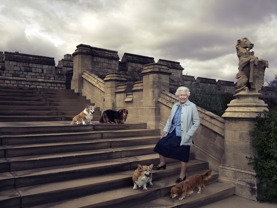 Kráľovná zvieracích miláčikov zbožňuje.