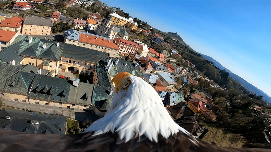 B. Štiavnica