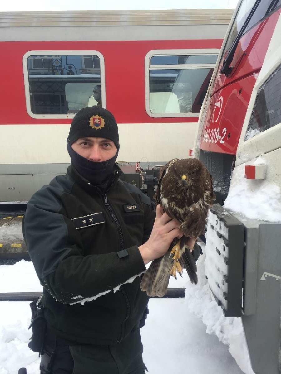 Železničná polícia oslobodila vzácneho