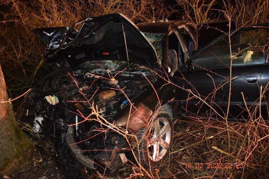 Medzi obcami Bakta a Uzovská Panica narazilo auto do stromu.