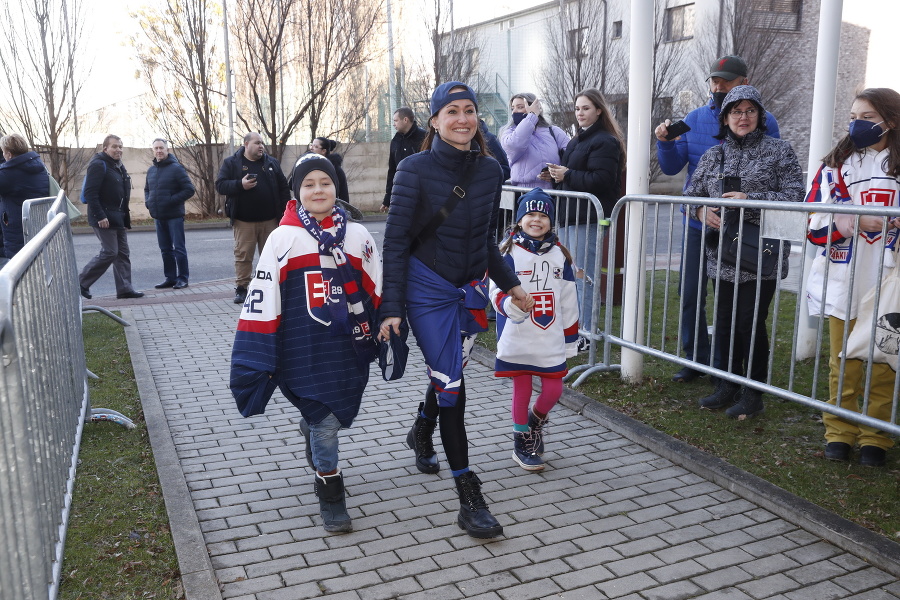 Slovenskí hokeji po príchode