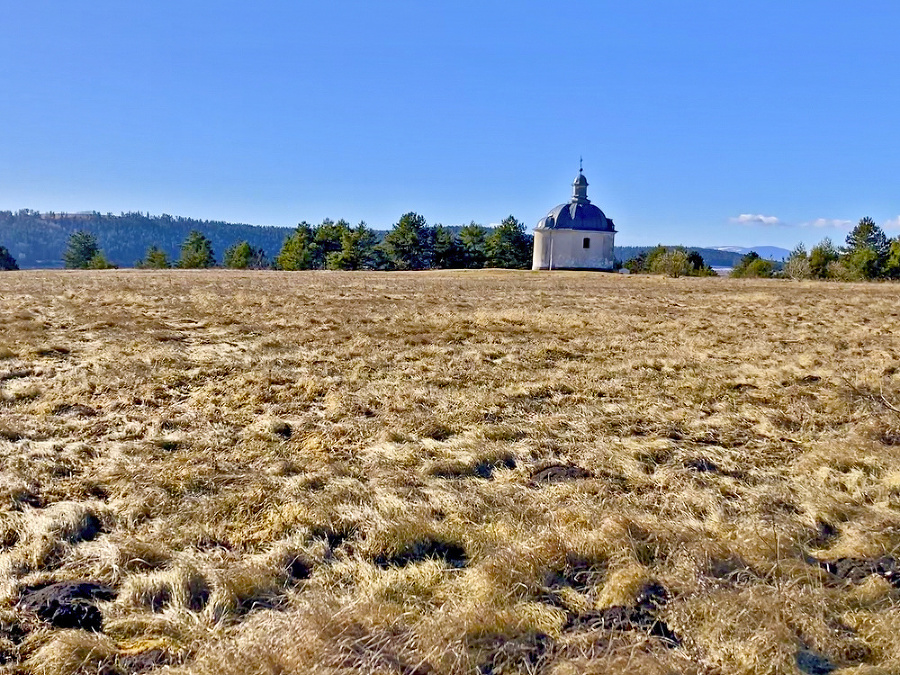 Oviec bude tridsať, mesto však očakáva, že ich počet sa zvýši.