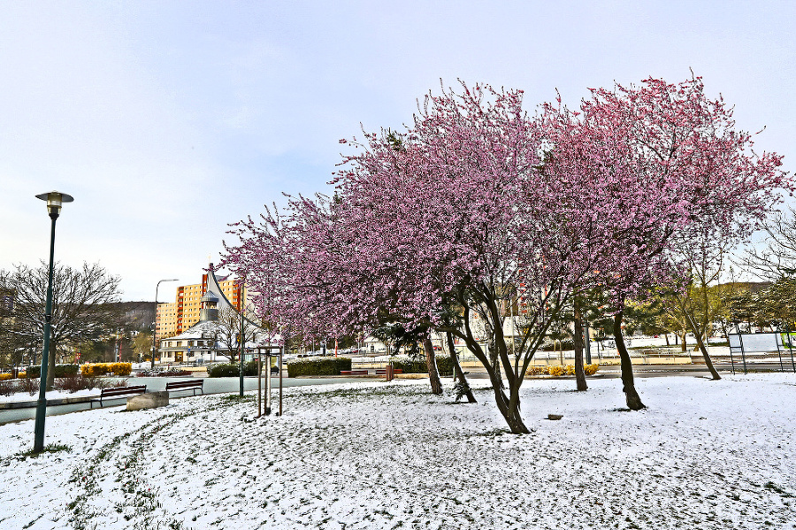 Bratislava - Obyvatelia hlavného mesta takúto nádielku rozhodne nečakali.