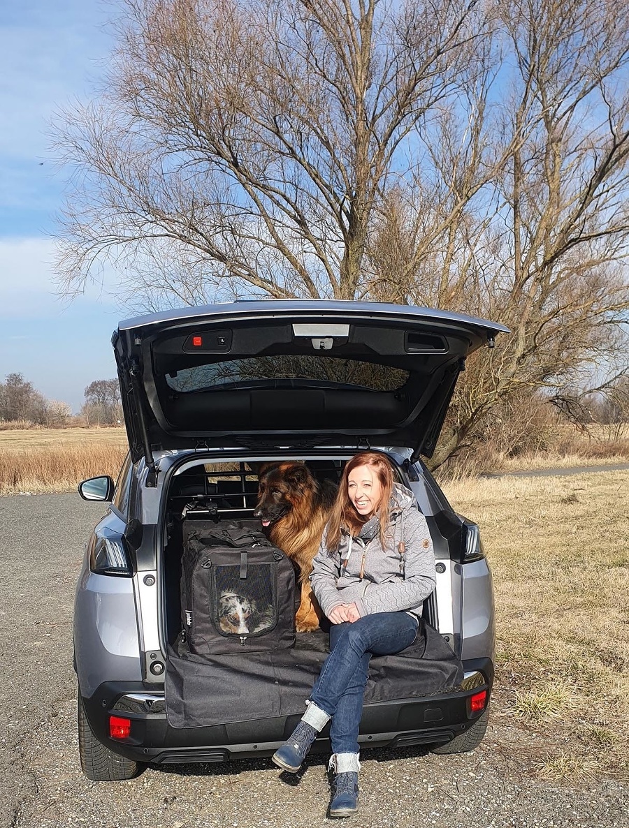 Automobilka PEUGEOT prichádza s užitočným seriálom, ako pohodlne cestovať so psíkmi.