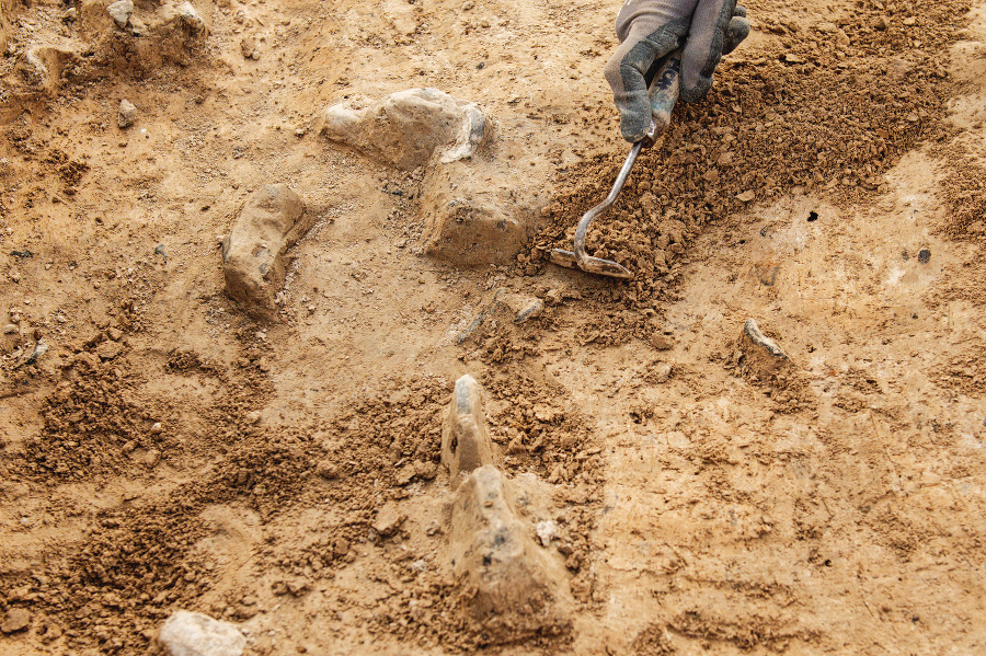 Archeológovia objavili v peruánskom