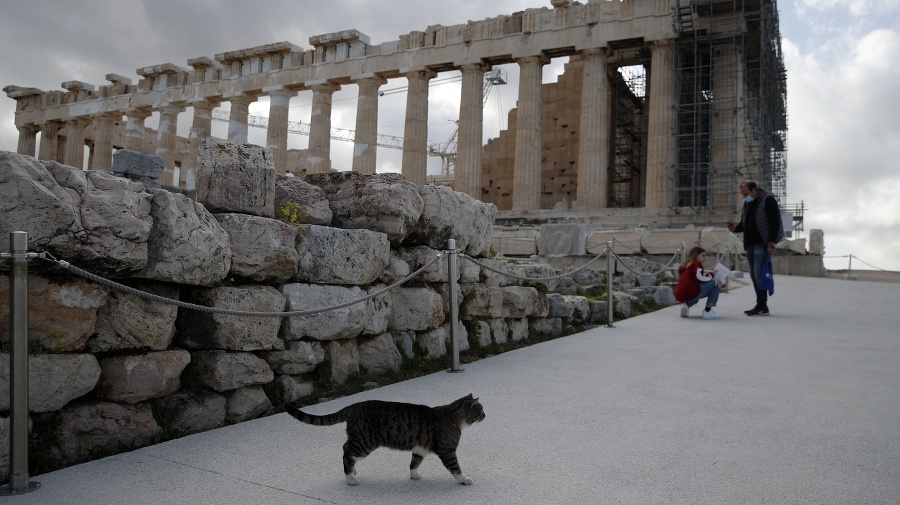 Mačka kráča neďaleko starovekého