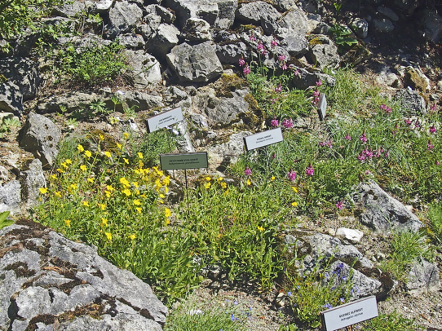 V tatranskej botanickej záhrade