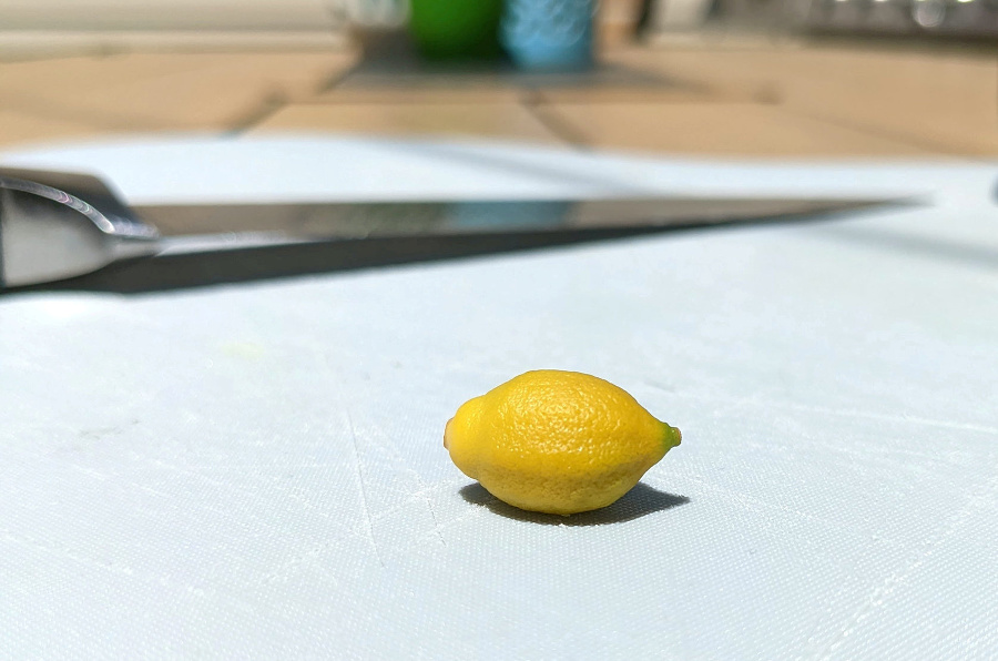 Andymu vyrástli malinké citróny.