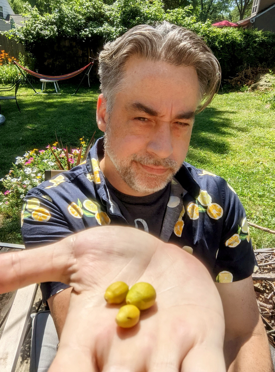 Andymu vyrástli malinké citróny.