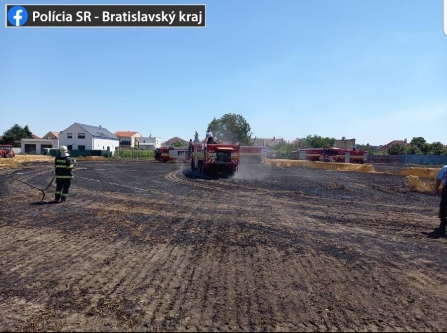 Polícia vyšetruje požiar vo Vajnoroch, ktorý zničil päť až sedem hektárov poľa.