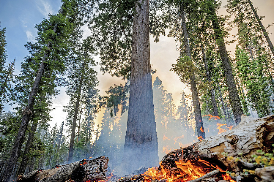 V Yosemitskom národnom parku