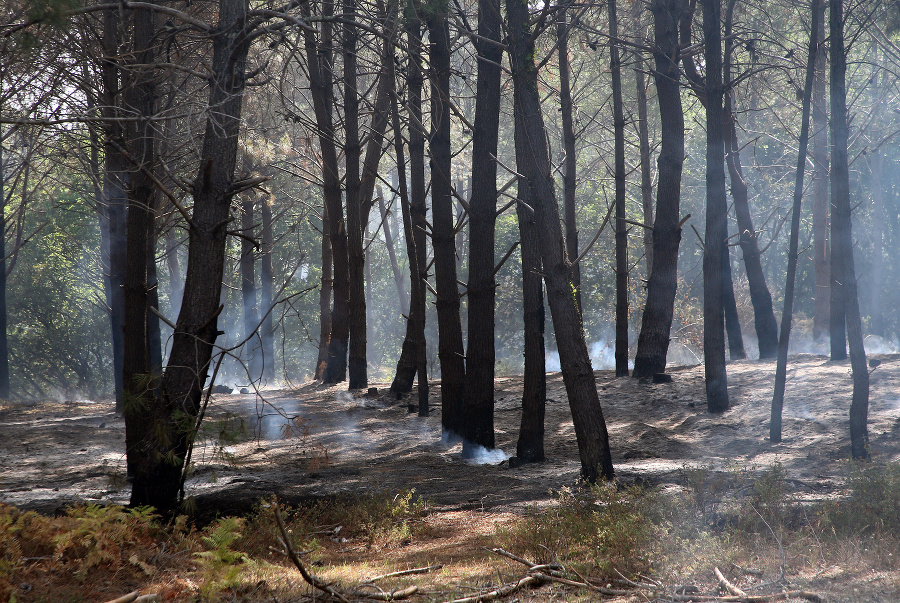 Francúzsko trápia lesné požiare.