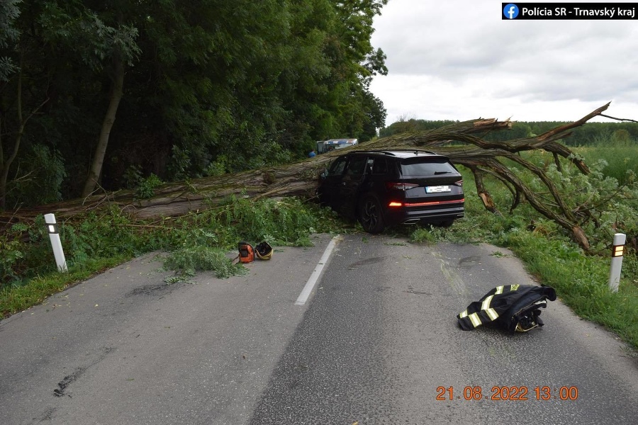 Strom padol na auto