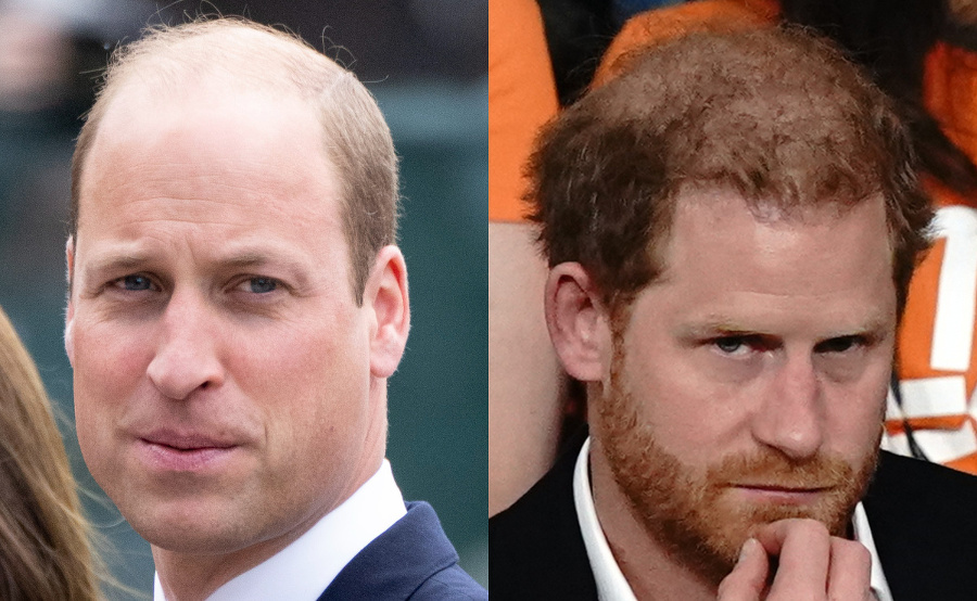 Princ William a princ Harry.