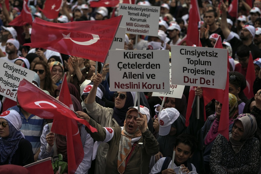Tureckí demonštranti s tureckými