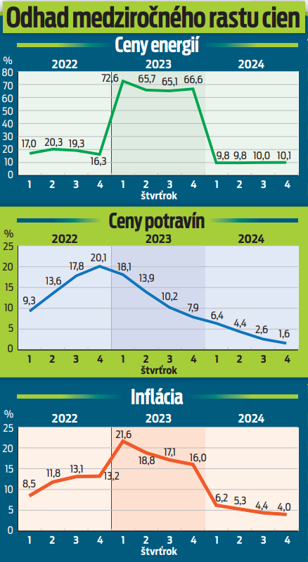 Odhad medziročného rastu cien