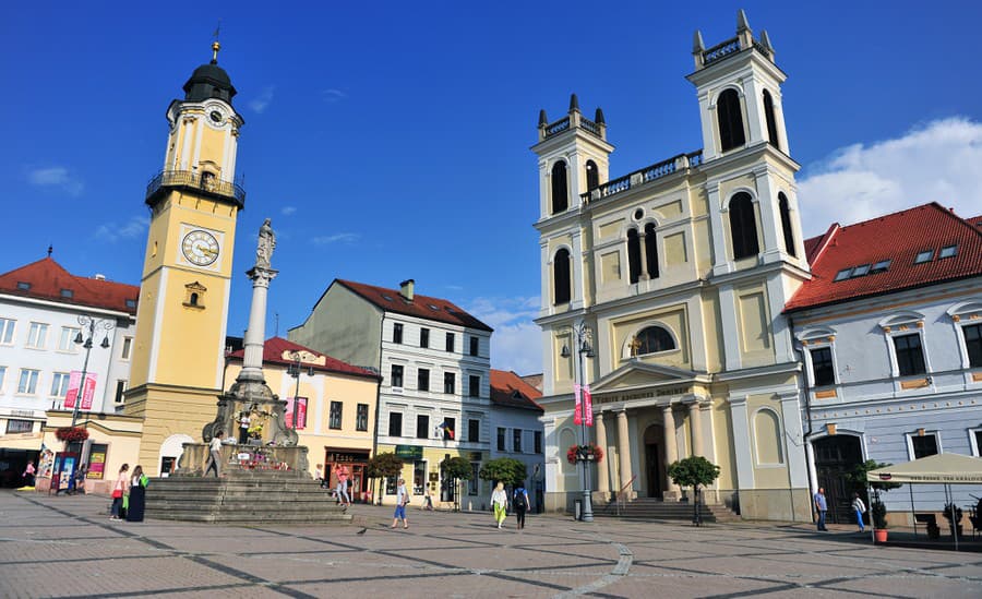 Myšlienka vzniku centra sa