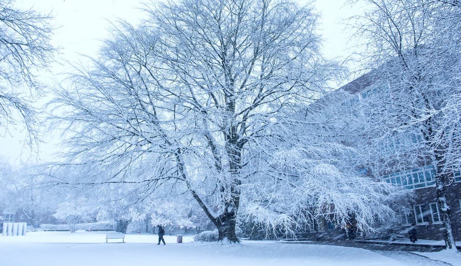 Klimatické vyhliadky naznačujú normálne,