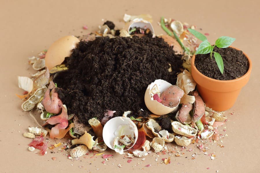 Kompost na hnojenie rastlín si môžete vyrobiť aj v byte.