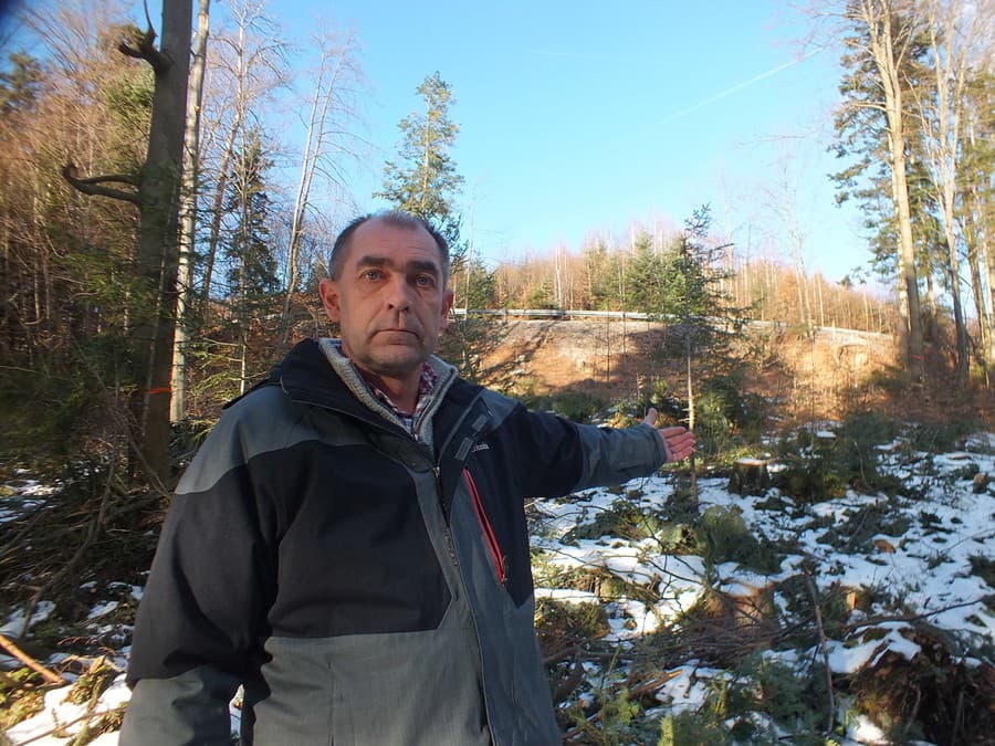 Starosta Štósu Anton Imling pri zimnom výrube, ktorý však bol legálny.