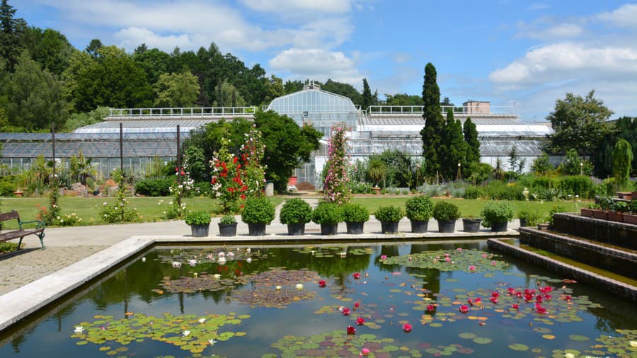 Areál košickej botanickej záhrady