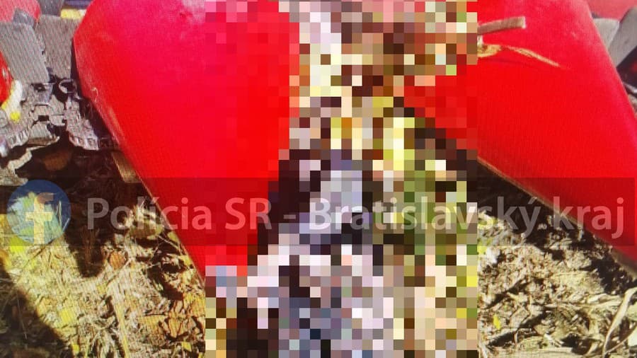 Nešťastie sa stalo na poli pri Kopčianskej ulici smerom na susedné Rakúsko
