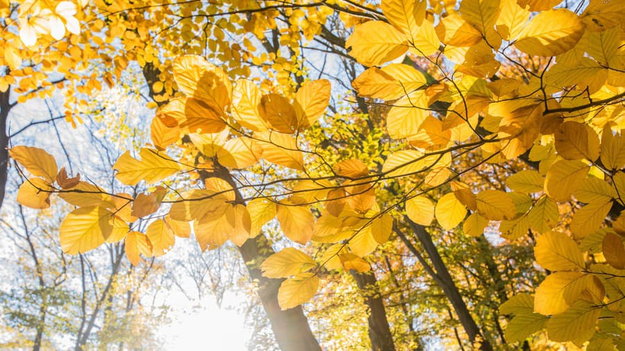 Jesenná príroda v rekreačno-oddychovej
