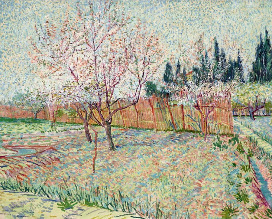 Vincent Van Gogh, kvitnúci