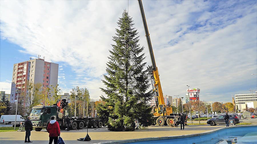 8.40 hod: Prvý košický vianočný stromček je postavený.
