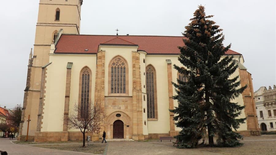 Strom stojí pred konkatedrálou