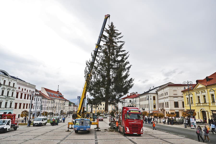 12.00 hod: Stromček priviezli