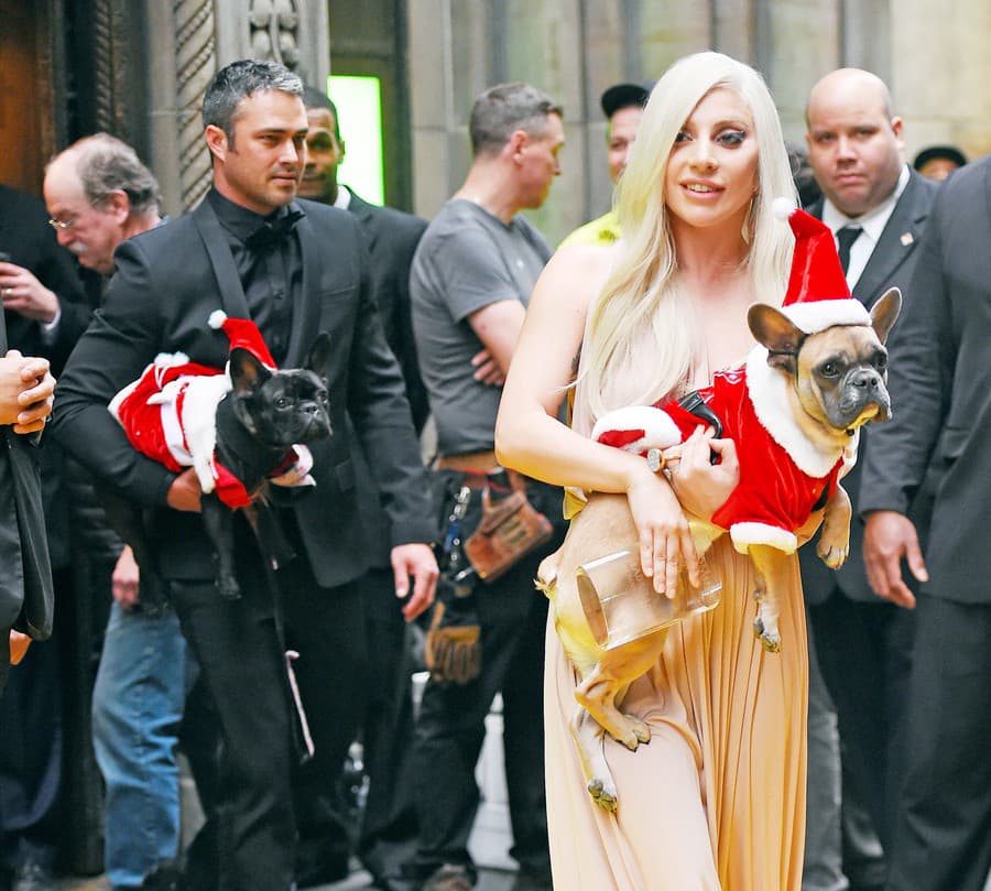Lady Gaga svoje psíky