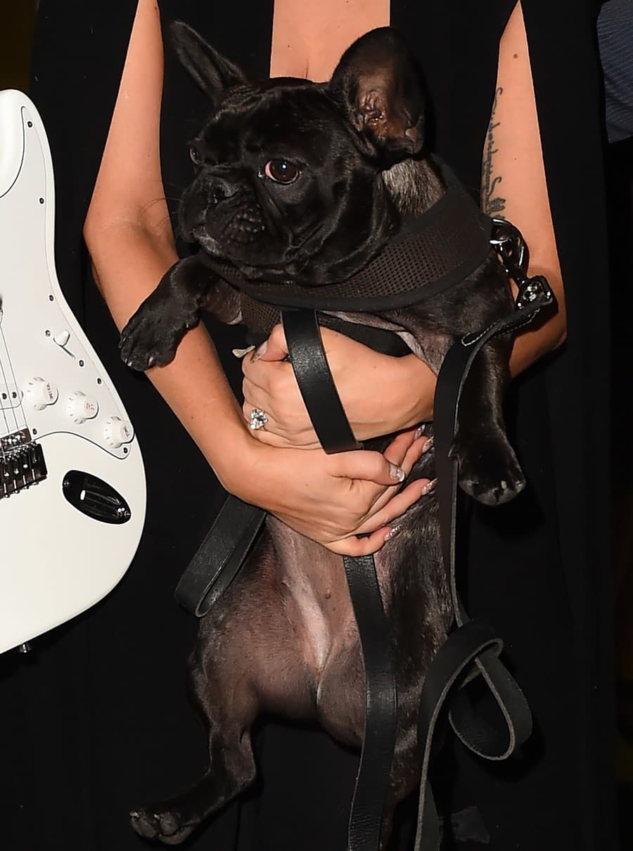 Lady Gaga svoje psíky