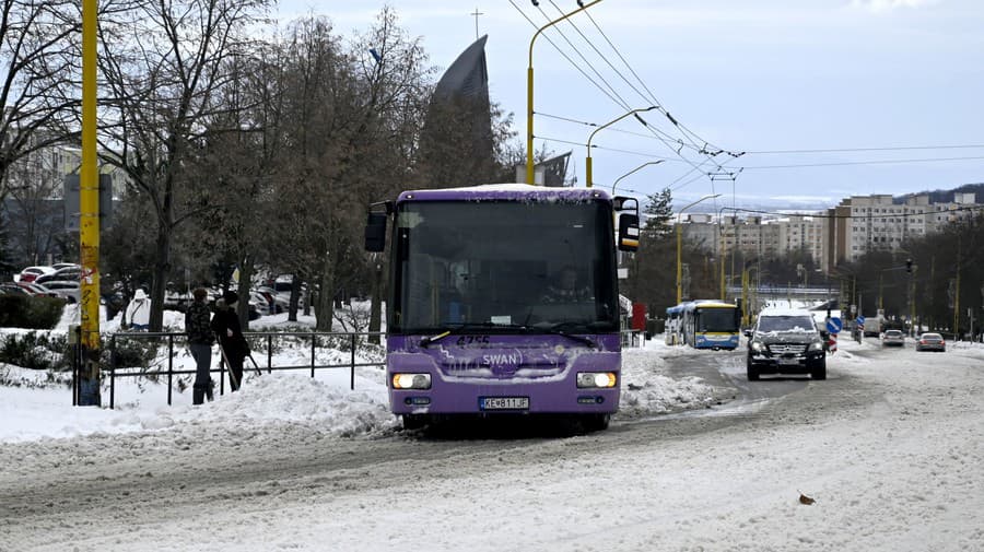 Na snímke snehová kalamita