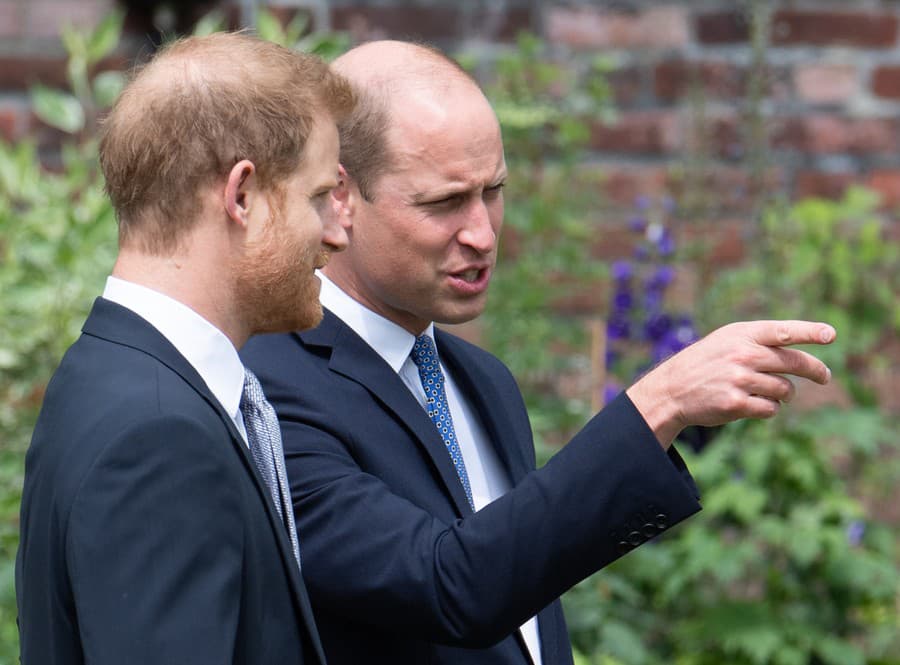 Bratia Harry a William.