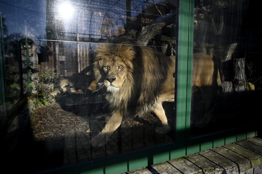 Na komforte zvierat zoo